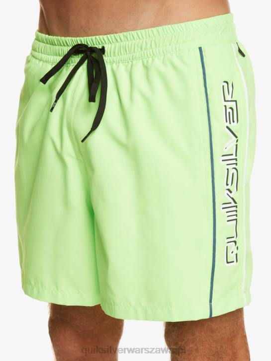 mężczyźni Quiksilver codziennie vert 16 wolejów 4DBV696 zielony gekon
