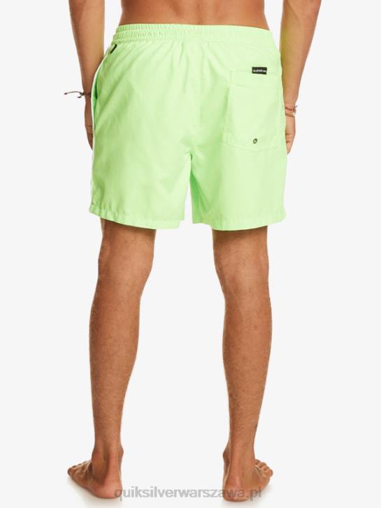 mężczyźni Quiksilver codziennie vert 16 wolejów 4DBV696 zielony gekon