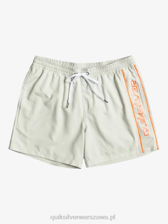 mężczyźni Quiksilver codziennie vert 16 wolejów 4DBV700 szary fiolet