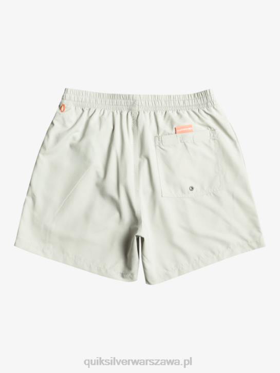 mężczyźni Quiksilver codziennie vert 16 wolejów 4DBV700 szary fiolet