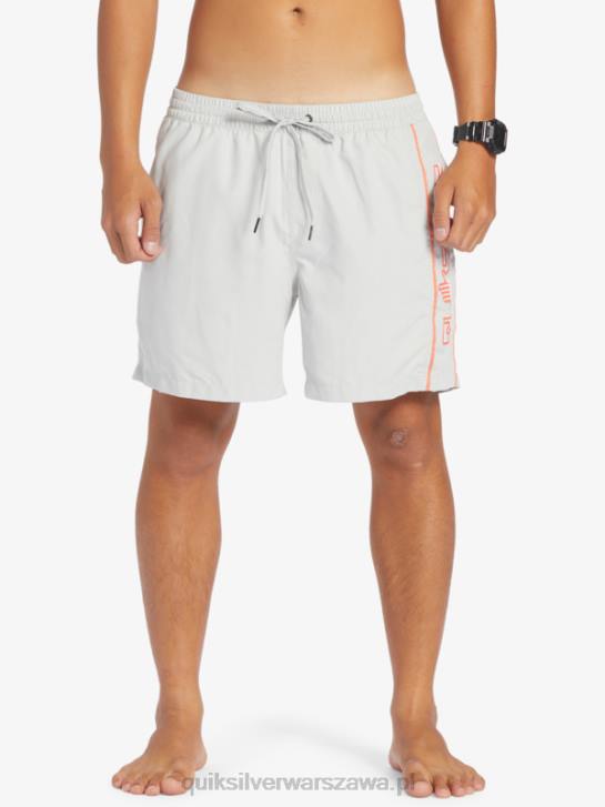 mężczyźni Quiksilver codziennie vert 16 wolejów 4DBV700 szary fiolet