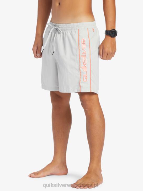 mężczyźni Quiksilver codziennie vert 16 wolejów 4DBV700 szary fiolet