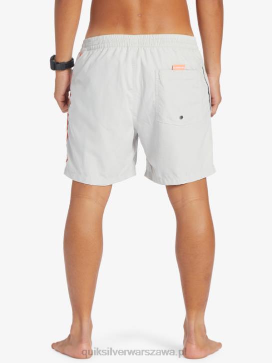 mężczyźni Quiksilver codziennie vert 16 wolejów 4DBV700 szary fiolet