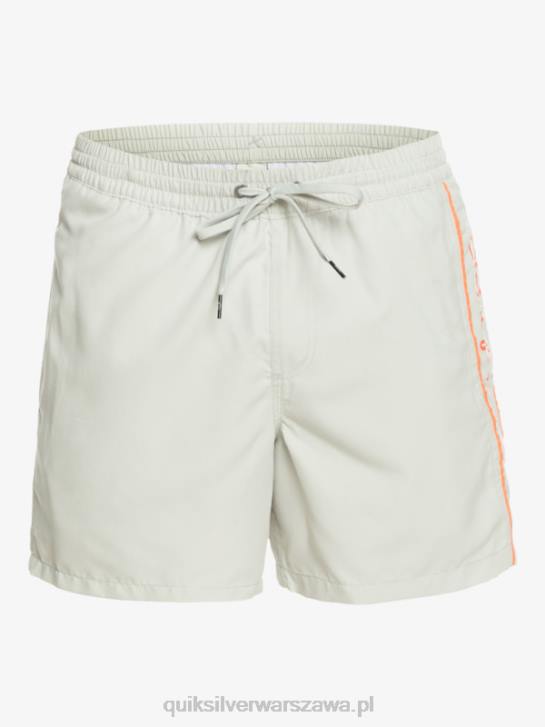 mężczyźni Quiksilver codziennie vert 16 wolejów 4DBV700 szary fiolet