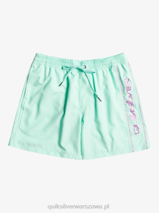 mężczyźni Quiksilver codziennie vert 16 wolejów 4DBV702 szkło plażowe