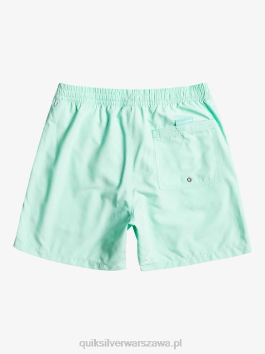 mężczyźni Quiksilver codziennie vert 16 wolejów 4DBV702 szkło plażowe