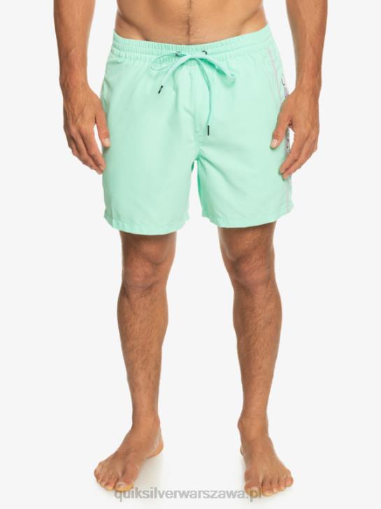 mężczyźni Quiksilver codziennie vert 16 wolejów 4DBV702 szkło plażowe