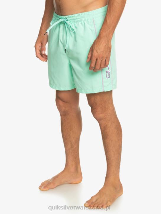 mężczyźni Quiksilver codziennie vert 16 wolejów 4DBV702 szkło plażowe