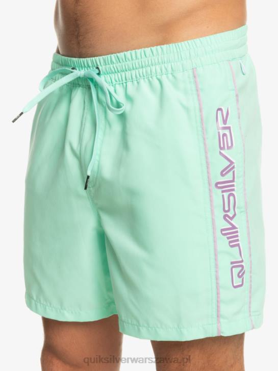 mężczyźni Quiksilver codziennie vert 16 wolejów 4DBV702 szkło plażowe