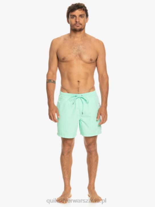 mężczyźni Quiksilver codziennie vert 16 wolejów 4DBV702 szkło plażowe
