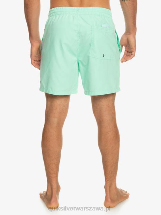 mężczyźni Quiksilver codziennie vert 16 wolejów 4DBV702 szkło plażowe