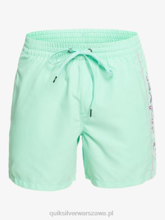 mężczyźni Quiksilver codziennie vert 16 wolejów 4DBV702 szkło plażowe