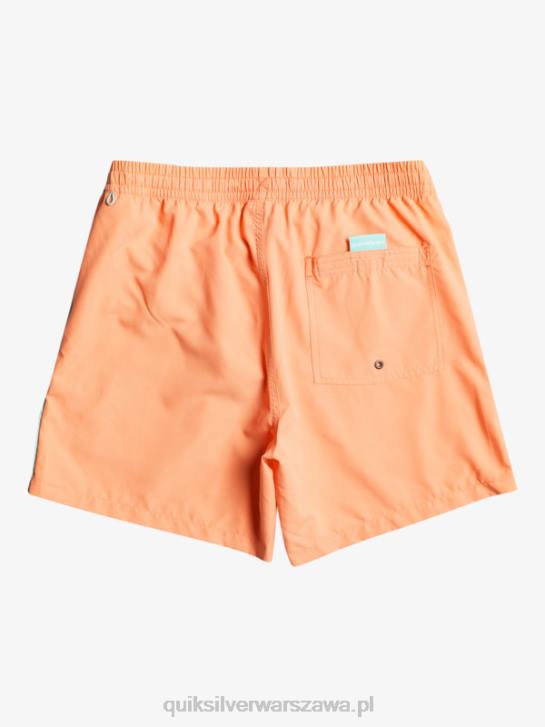 mężczyźni Quiksilver codziennie vert 16 wolejów 4DBV703 świeży łosoś
