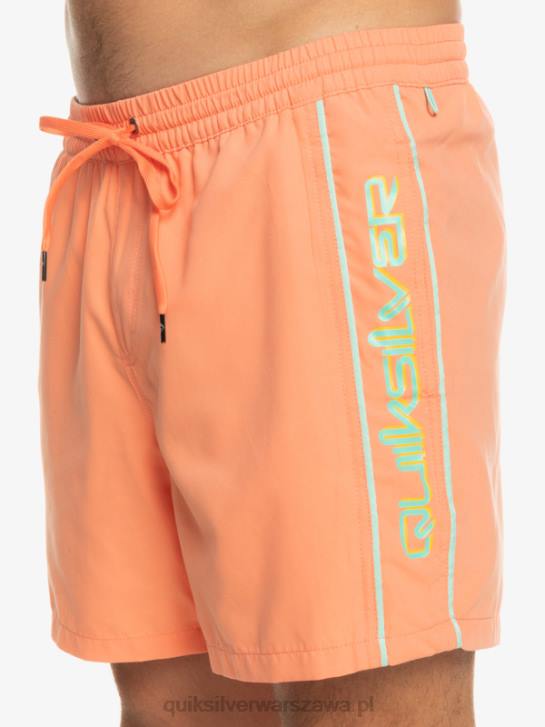 mężczyźni Quiksilver codziennie vert 16 wolejów 4DBV703 świeży łosoś
