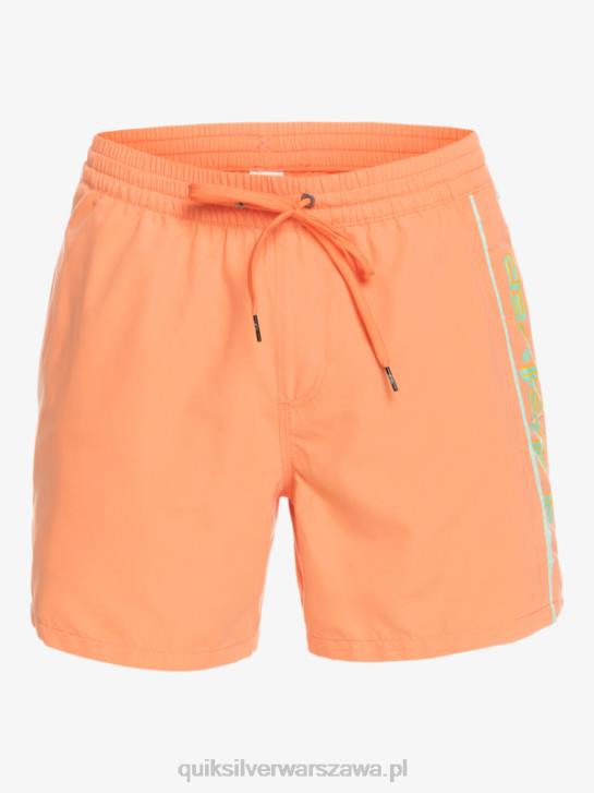 mężczyźni Quiksilver codziennie vert 16 wolejów 4DBV703 świeży łosoś