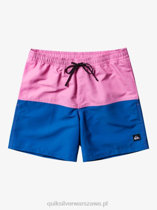 mężczyźni Quiksilver logo na tyłku 17 wolejów 4DBV484 księżycowy fiolet