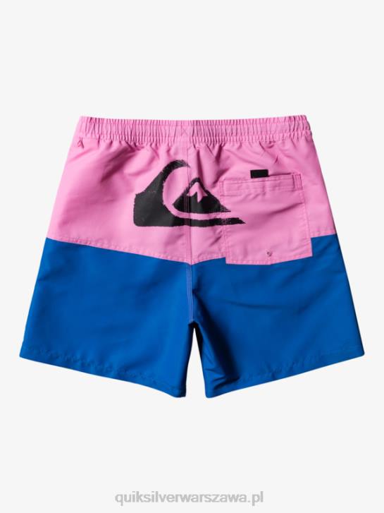 mężczyźni Quiksilver logo na tyłku 17 wolejów 4DBV484 księżycowy fiolet