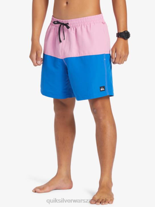mężczyźni Quiksilver logo na tyłku 17 wolejów 4DBV484 księżycowy fiolet