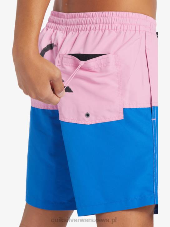 mężczyźni Quiksilver logo na tyłku 17 wolejów 4DBV484 księżycowy fiolet