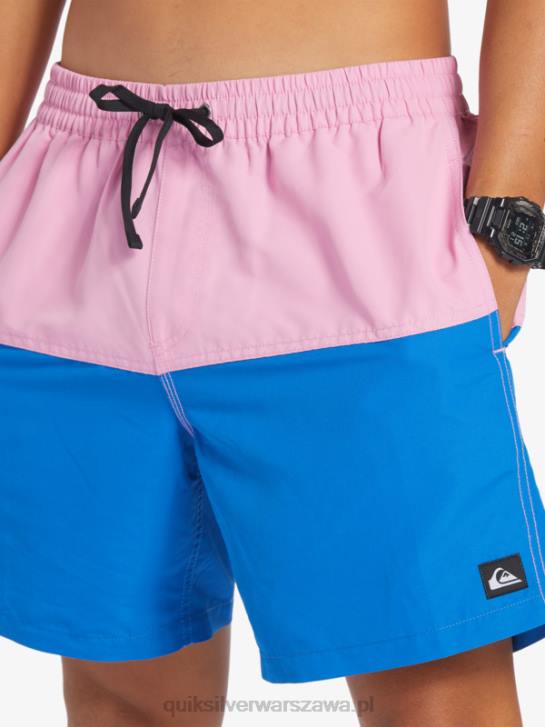 mężczyźni Quiksilver logo na tyłku 17 wolejów 4DBV484 księżycowy fiolet