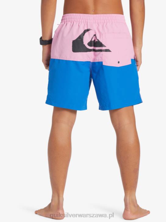 mężczyźni Quiksilver logo na tyłku 17 wolejów 4DBV484 księżycowy fiolet