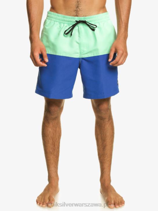 mężczyźni Quiksilver logo na tyłku 17 wolejów 4DBV485 nurkowanie w kolorze niebieskim