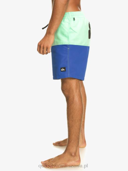 mężczyźni Quiksilver logo na tyłku 17 wolejów 4DBV485 nurkowanie w kolorze niebieskim
