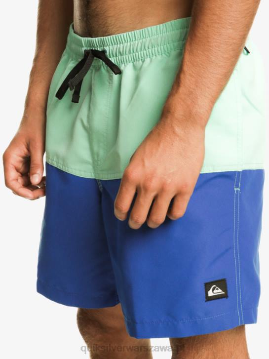 mężczyźni Quiksilver logo na tyłku 17 wolejów 4DBV485 nurkowanie w kolorze niebieskim