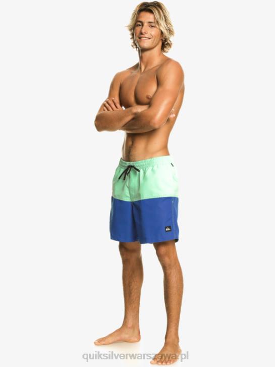 mężczyźni Quiksilver logo na tyłku 17 wolejów 4DBV485 nurkowanie w kolorze niebieskim