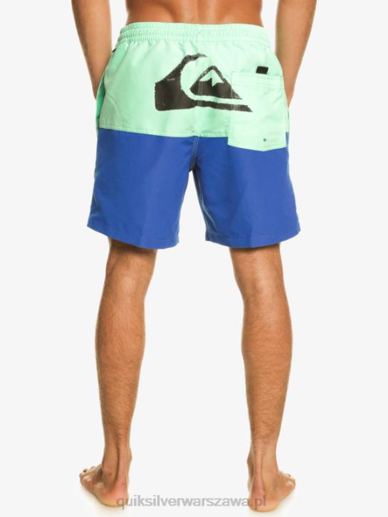 mężczyźni Quiksilver logo na tyłku 17 wolejów 4DBV485 nurkowanie w kolorze niebieskim