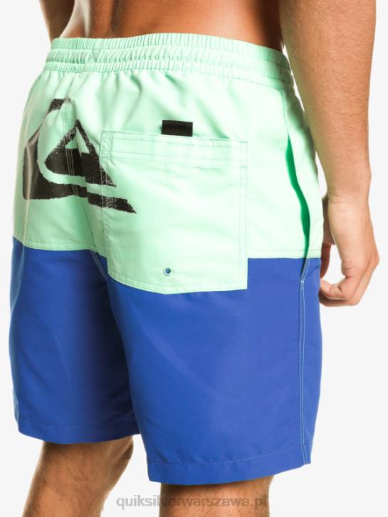 mężczyźni Quiksilver logo na tyłku 17 wolejów 4DBV485 nurkowanie w kolorze niebieskim