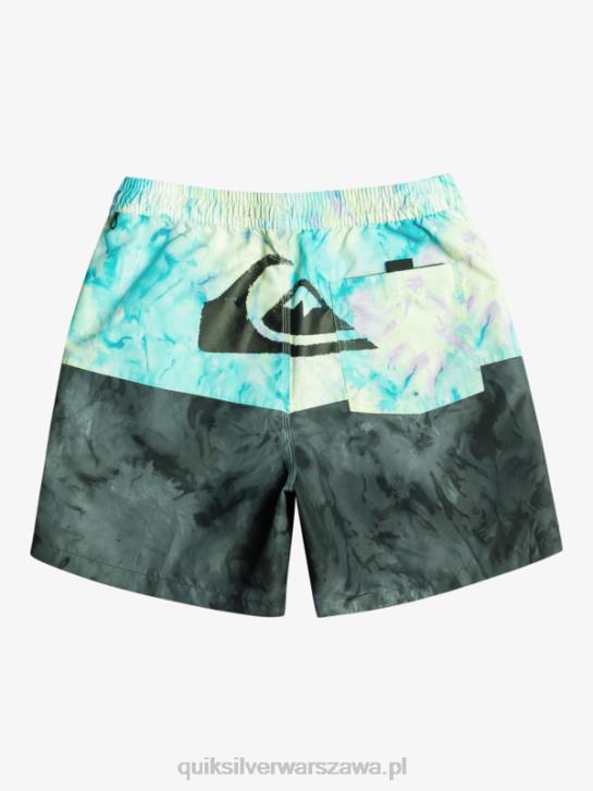 mężczyźni Quiksilver logo na tyłku 17 wolejów 4DBV486 czarny