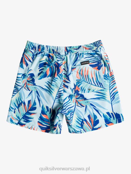 mężczyźni Quiksilver ocean mix 17 wolejów 4DBV1707 mrożona woda