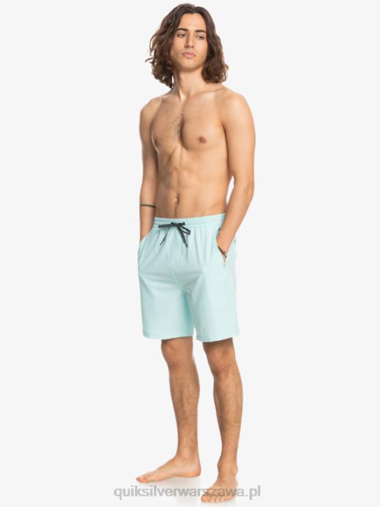 mężczyźni Quiksilver oceaniczne elastyczne 18 szortów amfibii 4DBV351 mrożona woda