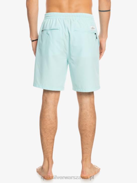 mężczyźni Quiksilver oceaniczne elastyczne 18 szortów amfibii 4DBV351 mrożona woda