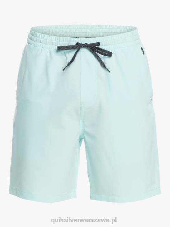 mężczyźni Quiksilver oceaniczne elastyczne 18 szortów amfibii 4DBV351 mrożona woda