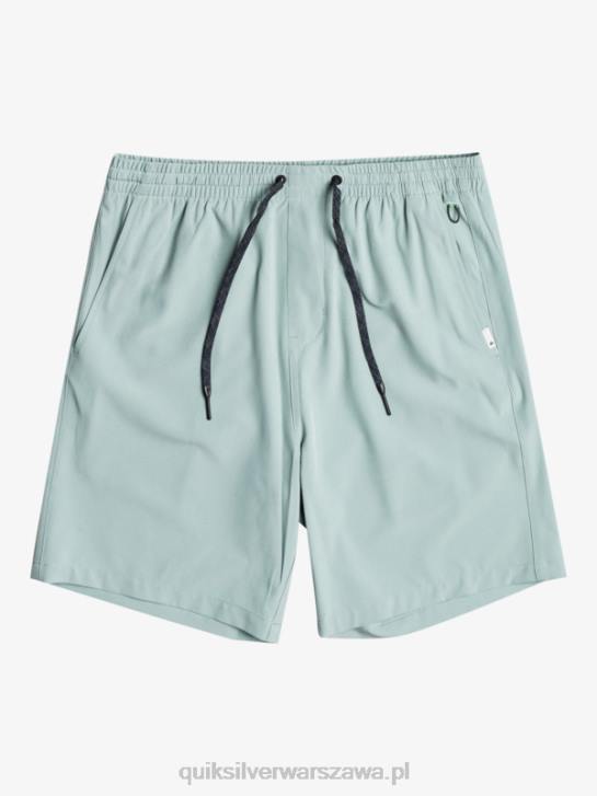mężczyźni Quiksilver oceaniczne elastyczne 18 szortów amfibii 4DBV352 środowisko zielone