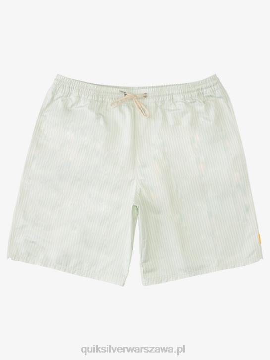 mężczyźni Quiksilver paski na pokład Watermana 19 salw 4DBV1843 subtelny zielony pasek na pokładzie