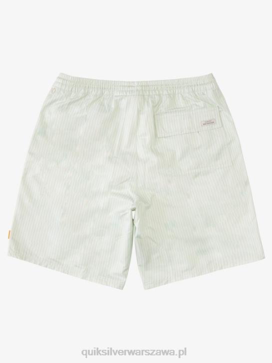 mężczyźni Quiksilver paski na pokład Watermana 19 salw 4DBV1843 subtelny zielony pasek na pokładzie