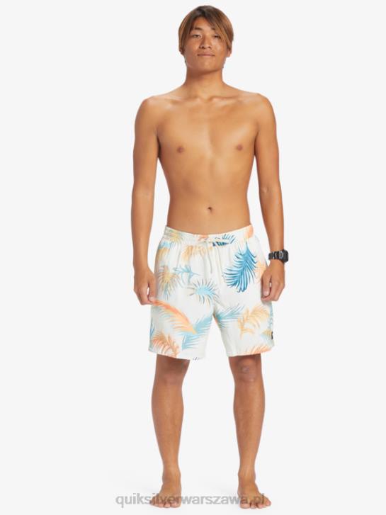mężczyźni Quiksilver ponownie zmiksuj 17 wolejów 4DBV355 brzozowy