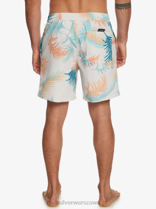 mężczyźni Quiksilver ponownie zmiksuj 17 wolejów 4DBV355 brzozowy