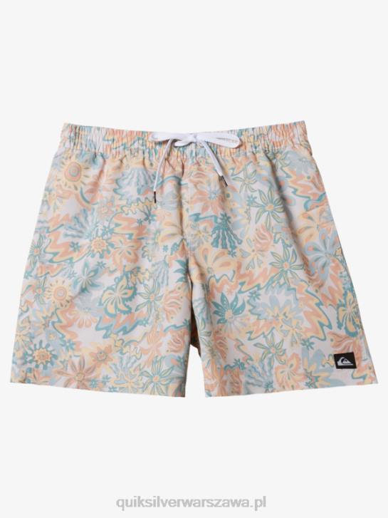 mężczyźni Quiksilver ponownie zmiksuj 17 wolejów 4DBV357 brzozowy