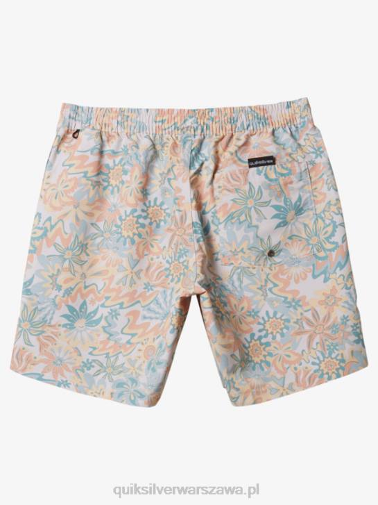 mężczyźni Quiksilver ponownie zmiksuj 17 wolejów 4DBV357 brzozowy