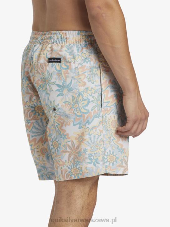 mężczyźni Quiksilver ponownie zmiksuj 17 wolejów 4DBV357 brzozowy