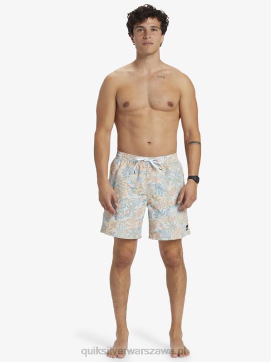 mężczyźni Quiksilver ponownie zmiksuj 17 wolejów 4DBV357 brzozowy