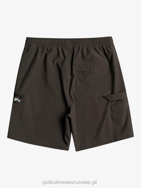 mężczyźni Quiksilver spodenki planszowe Taxer Cargo 18 Amphibian 4DBV251 asfalt