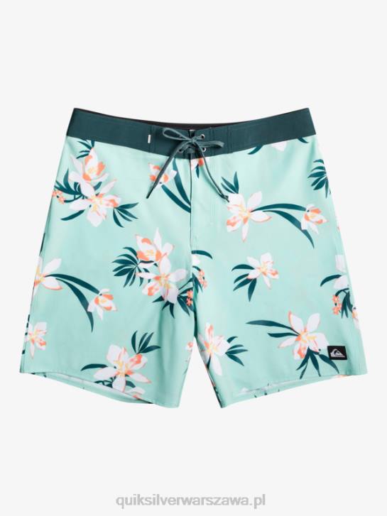mężczyźni Quiksilver spodenki surfsilk qs 69 18 4DBV244 szkło plażowe