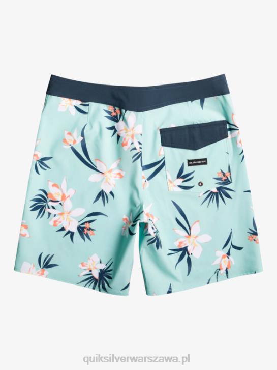 mężczyźni Quiksilver spodenki surfsilk qs 69 18 4DBV244 szkło plażowe