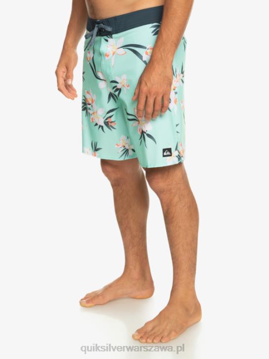 mężczyźni Quiksilver spodenki surfsilk qs 69 18 4DBV244 szkło plażowe