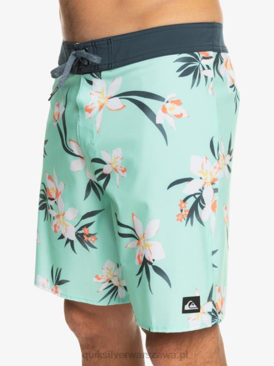 mężczyźni Quiksilver spodenki surfsilk qs 69 18 4DBV244 szkło plażowe
